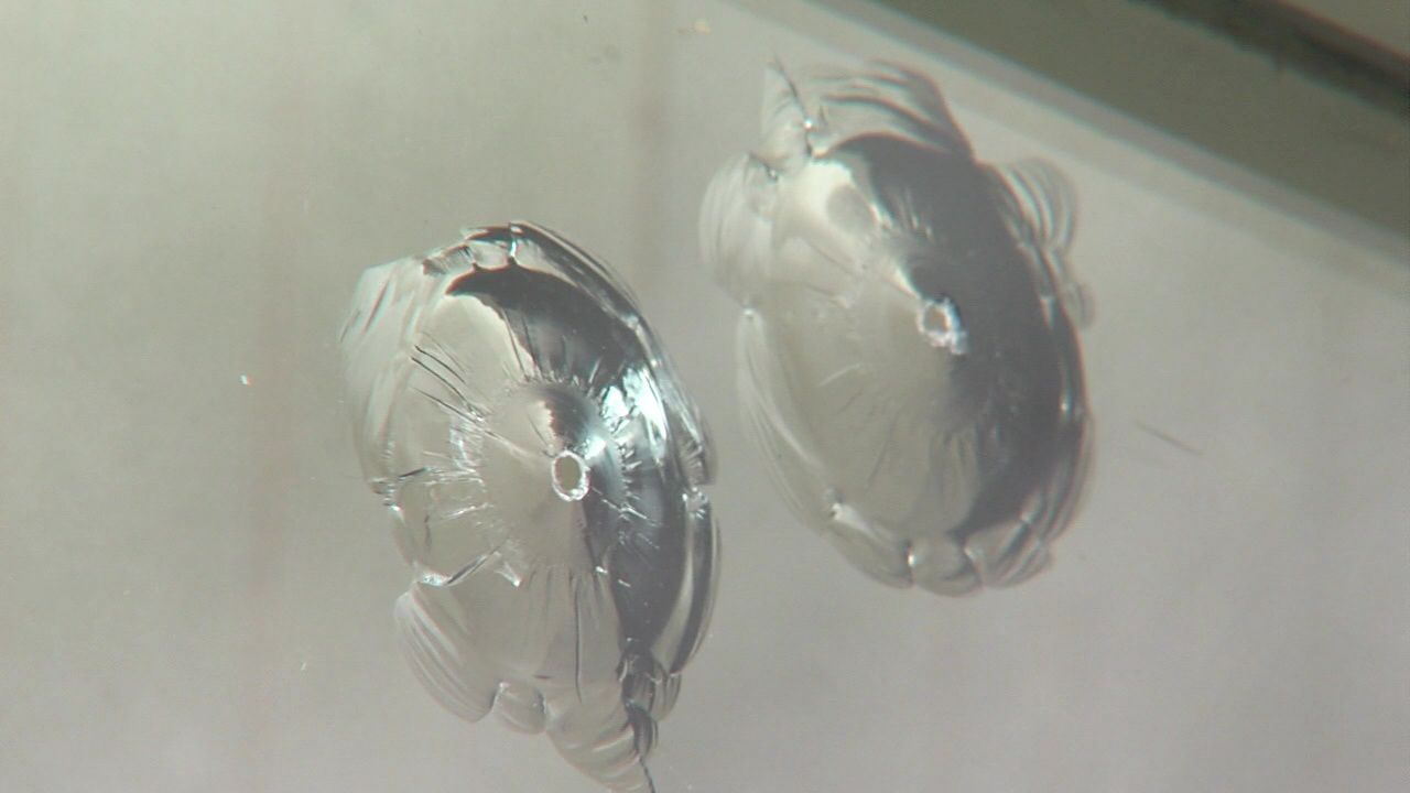 Temple Beth Israel looking for answers after vandalism 2.jpg